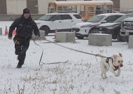 史酷比做什么？温尼伯的消防犬伸出了援手